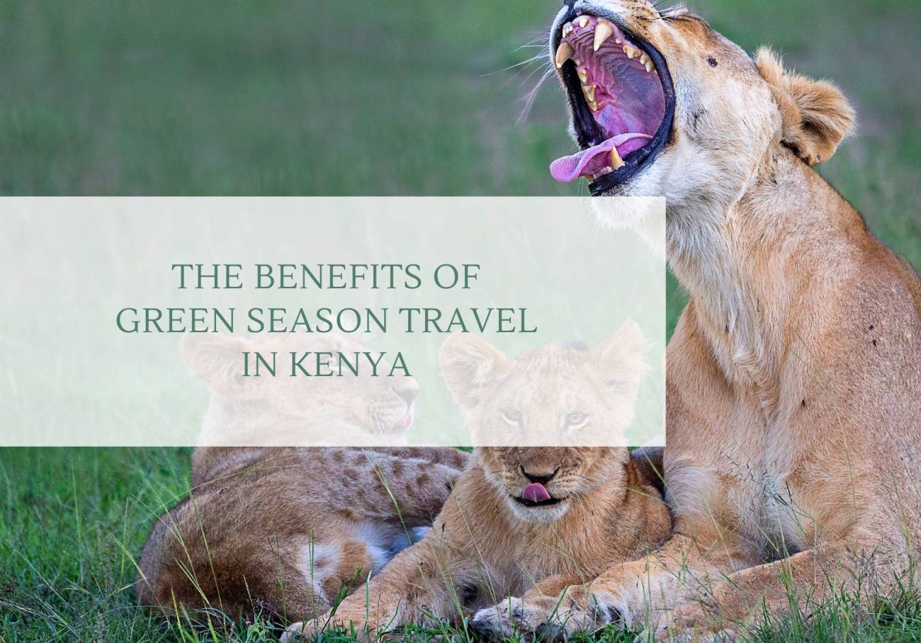 The Benefits of Green Season Travel in Kenya