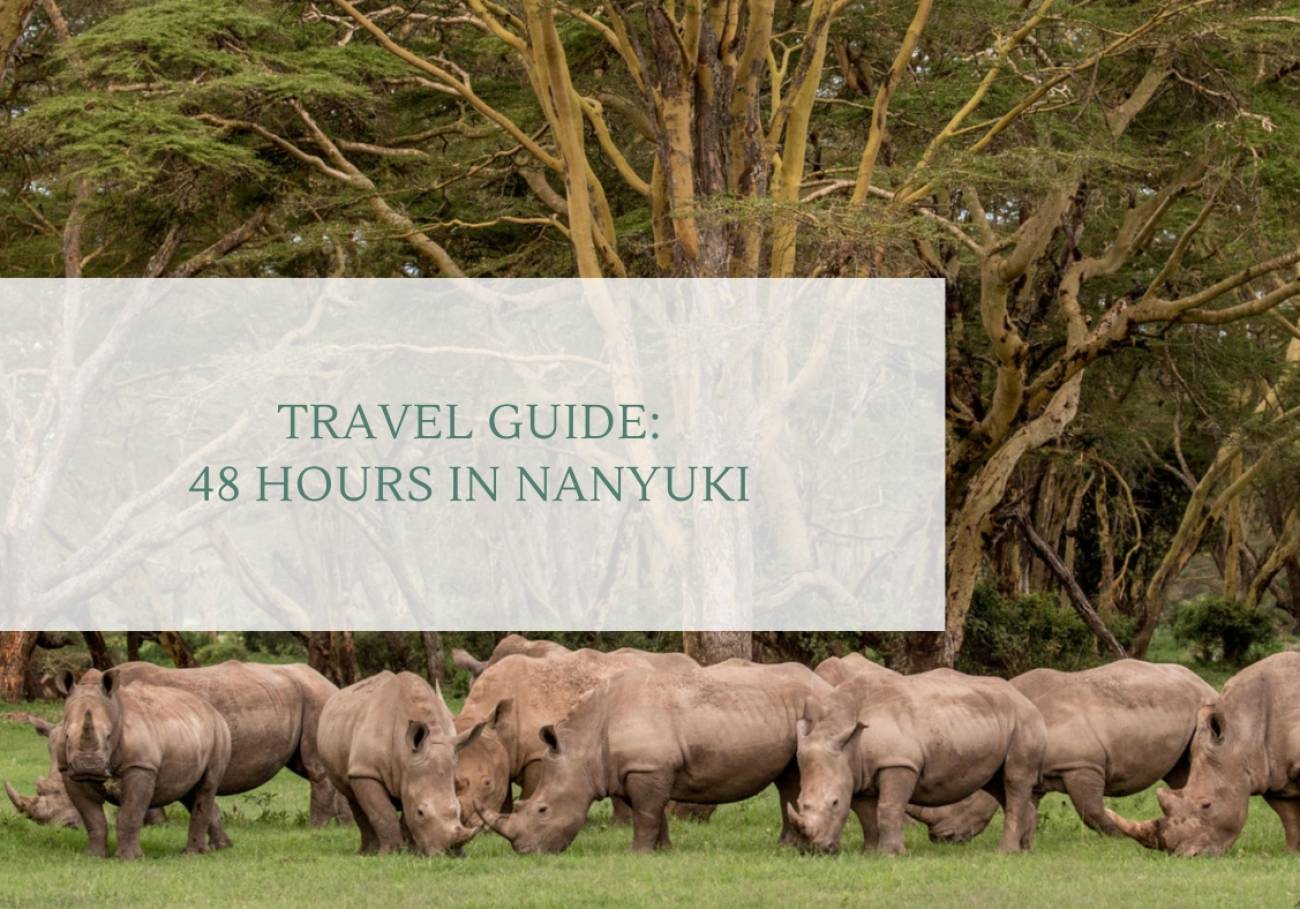 Nairobi Escape: 48 Hours in Nanyuki