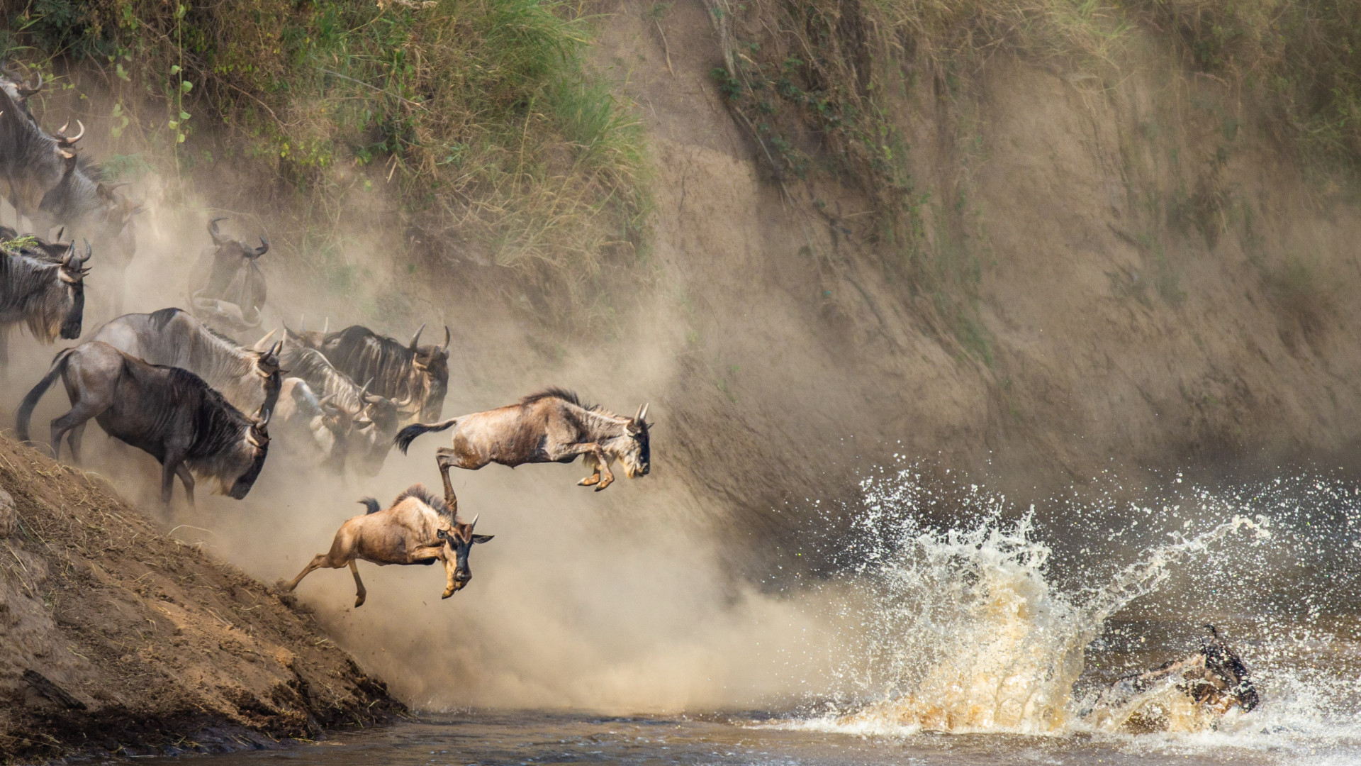 Maasai Mara