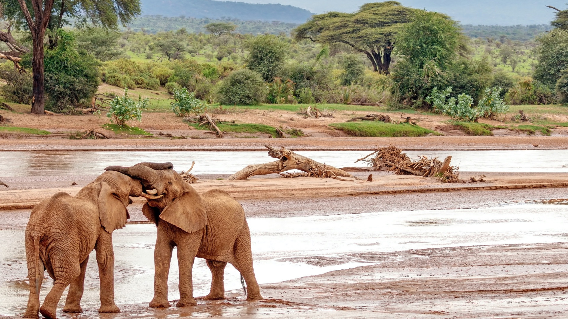 Samburu, Meru and Northern Kenya