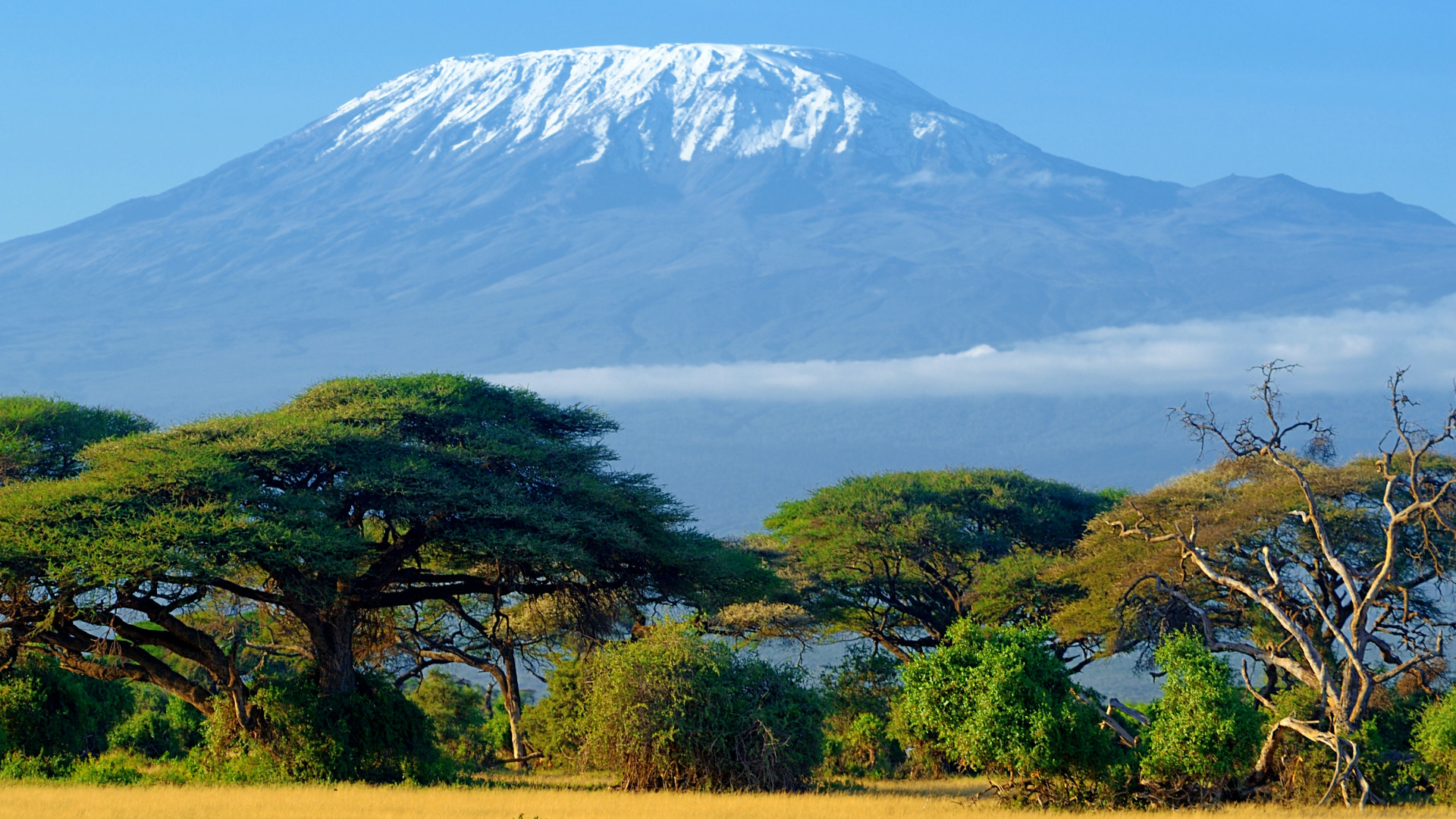 Amboseli and Kimana