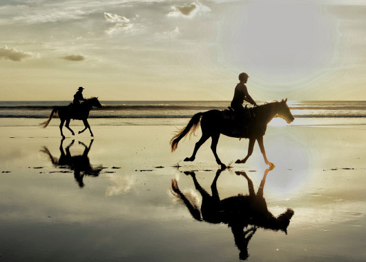 Horse-riding along the beach