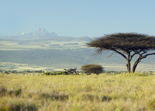 Views of Mount Kenya
