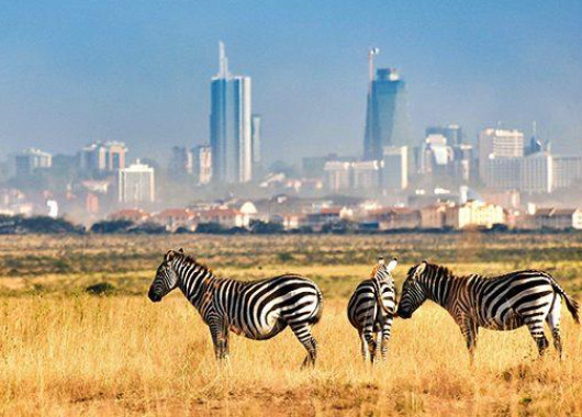 The Nairobi National Park
