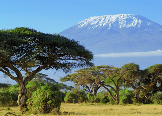 Views of Kilimanjaro