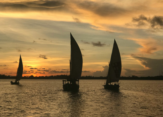 Dhow trips along Kilifi Creek