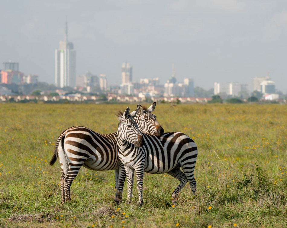 Journey: The only city in the world with a national park.