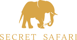 Secret Safari logo